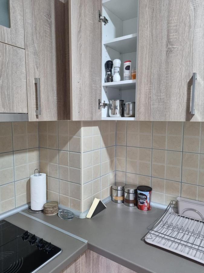 Apartman Ristanovic Баня-Ковиляча Экстерьер фото
