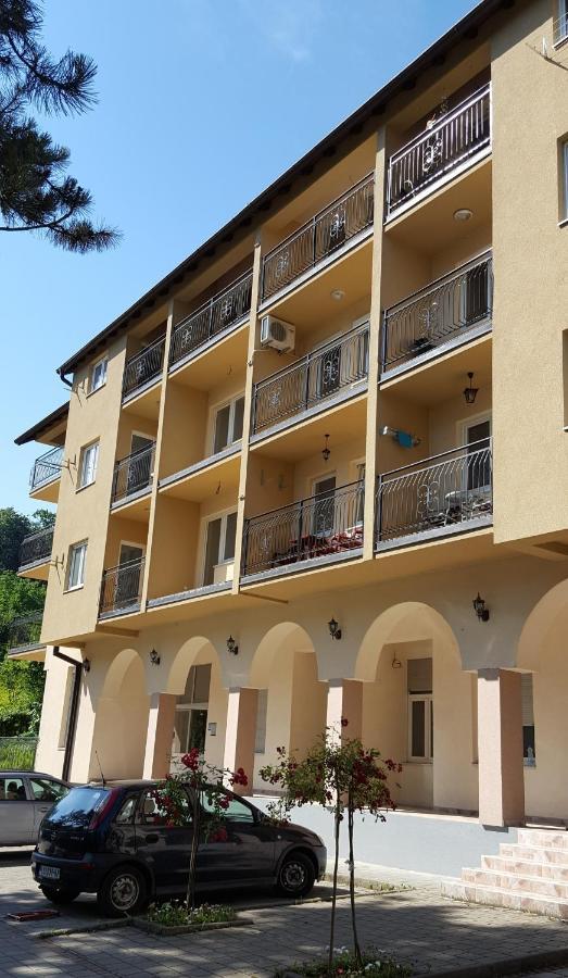 Apartman Ristanovic Баня-Ковиляча Экстерьер фото